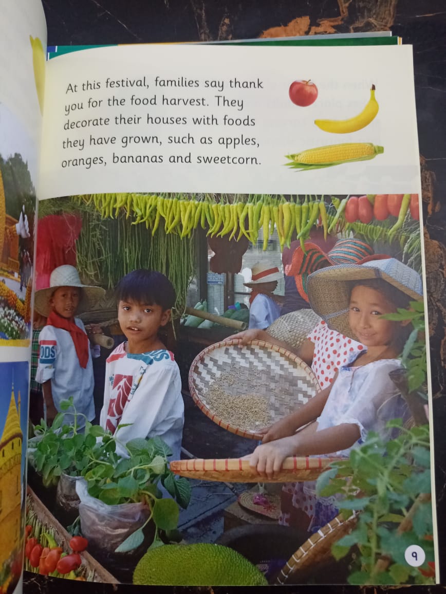 BOOK BAG BOOKS LEVEL 6