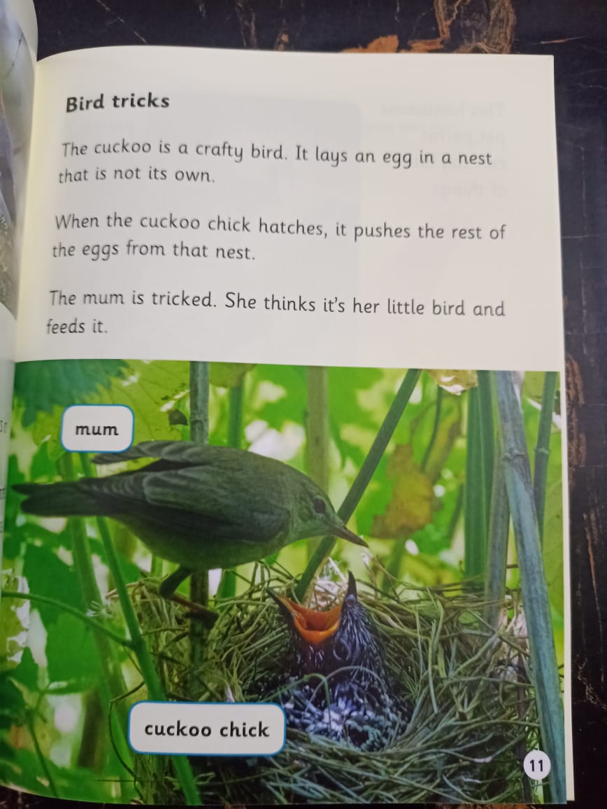 BOOK BAG BOOKS LEVEL 6