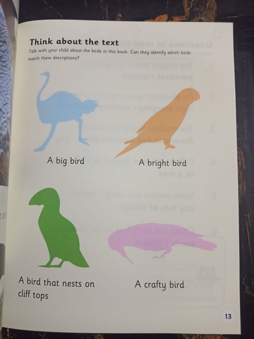 BOOK BAG BOOKS LEVEL 6