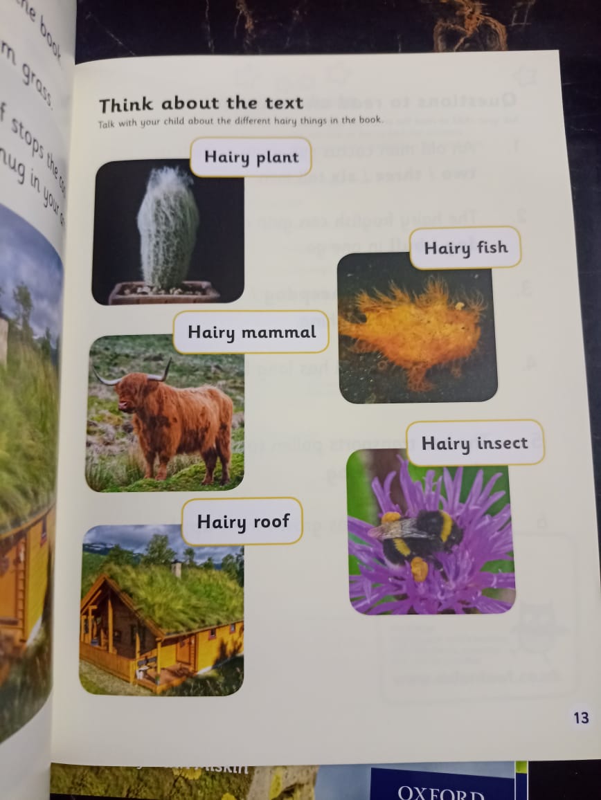 BOOK BAG BOOKS LEVEL 6