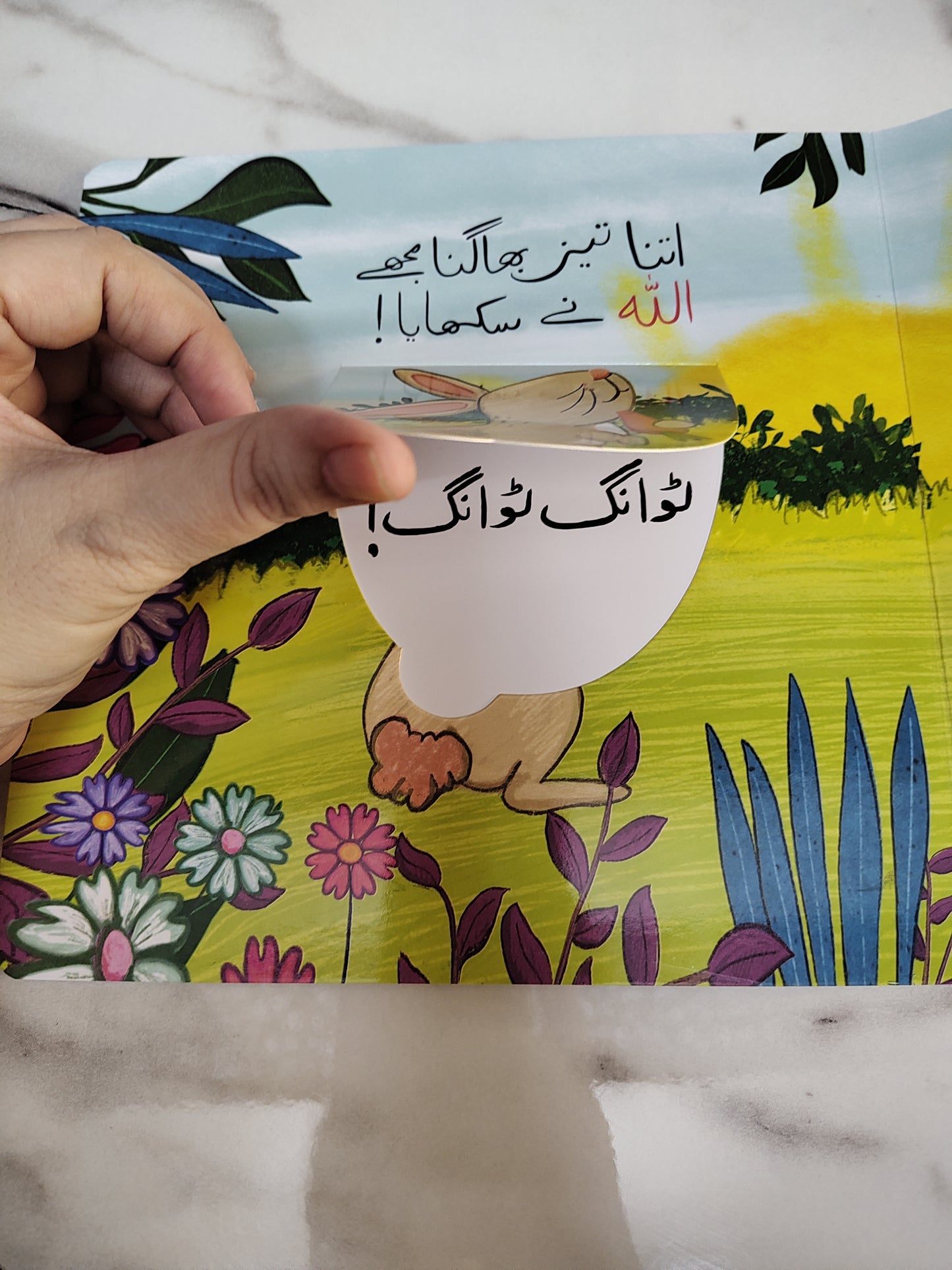 Janwaron ki dunya (flap book)