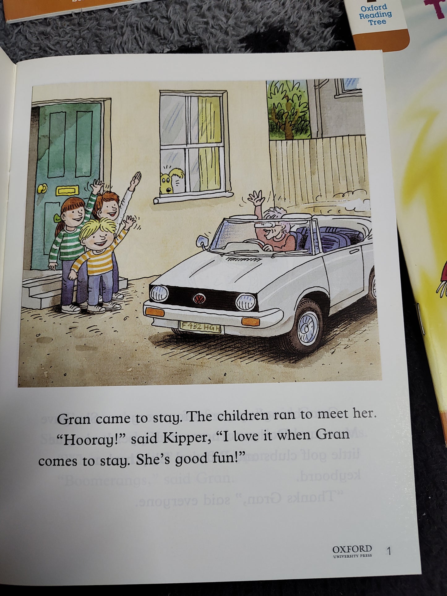 Oxford Reading Tree stage 8