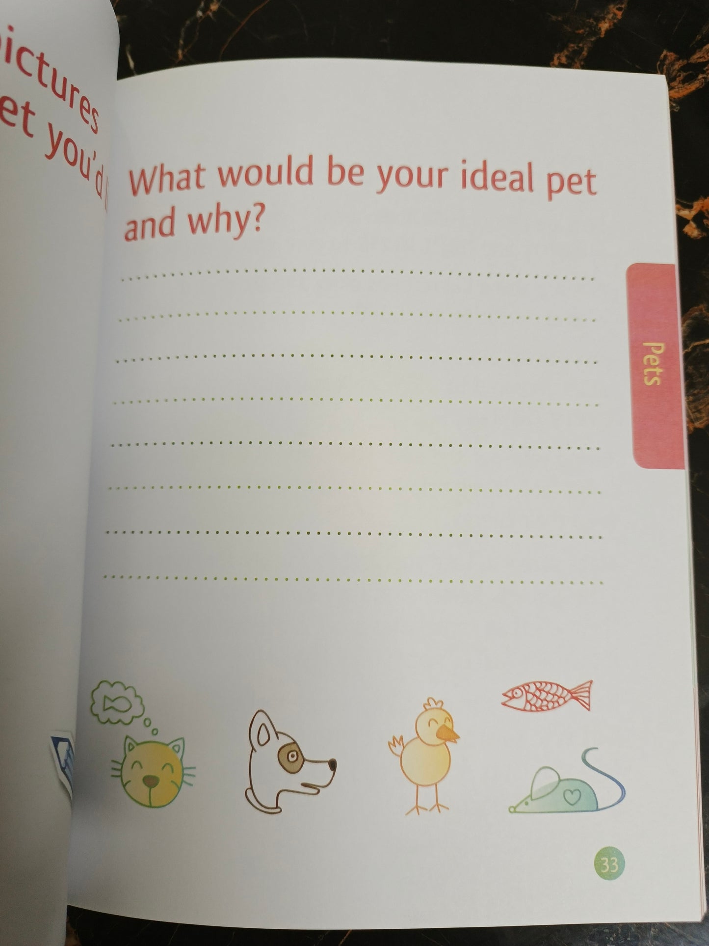 THE CLEMENTINE ROSE BUSY DAY BOOK