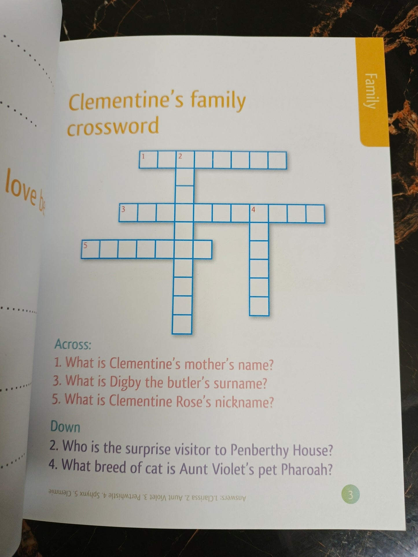 THE CLEMENTINE ROSE BUSY DAY BOOK