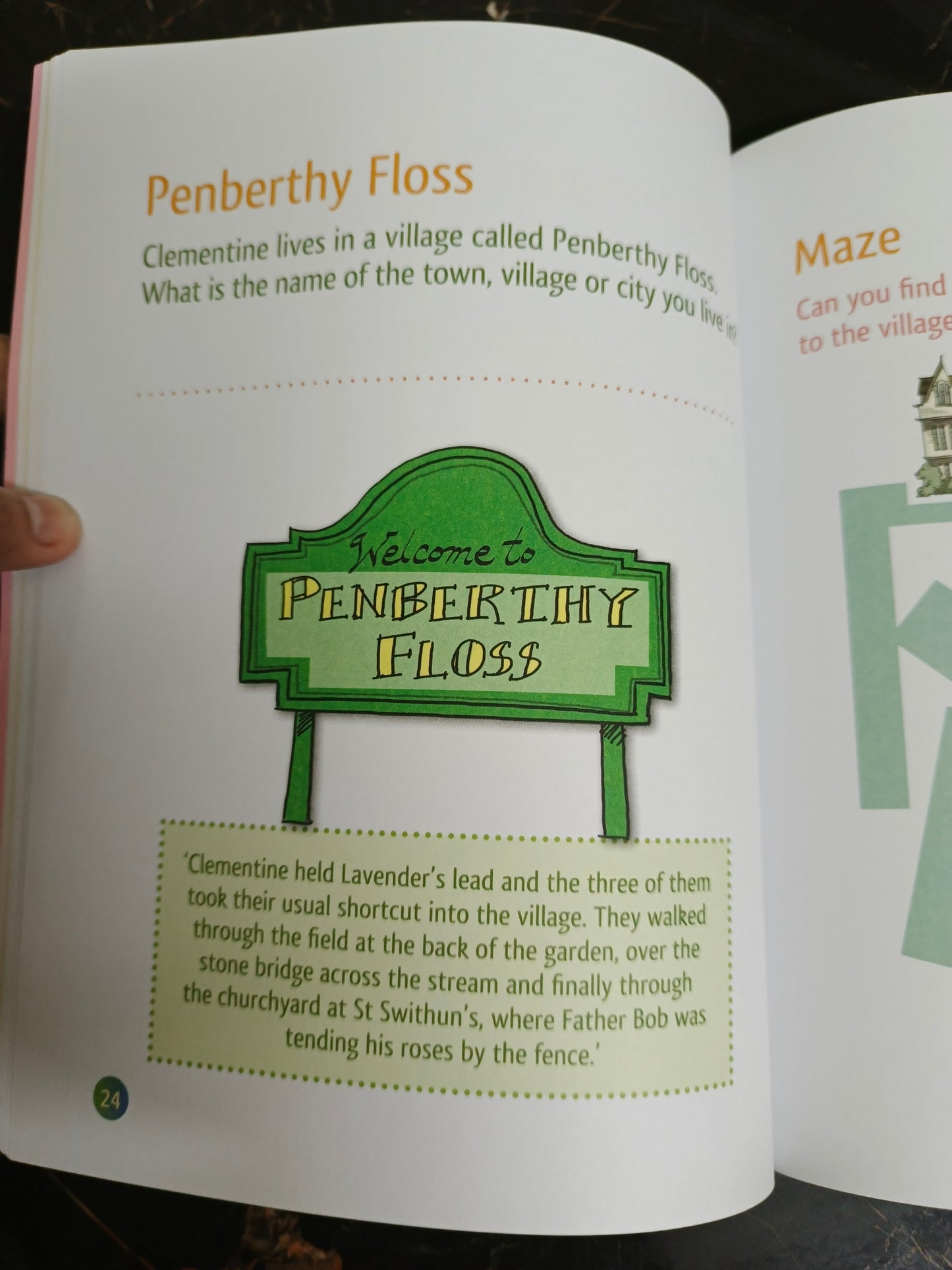 THE CLEMENTINE ROSE BUSY DAY BOOK