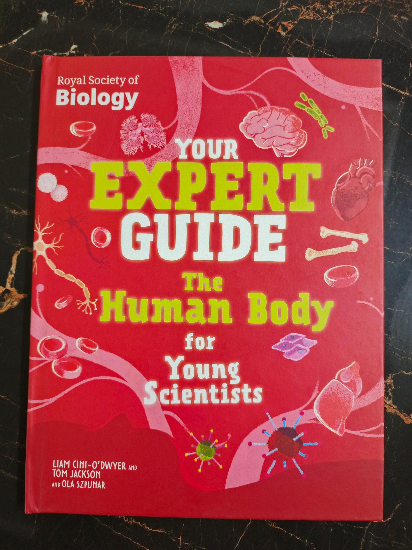YOUR EXPERT GUIDE THE HUMAN BODY