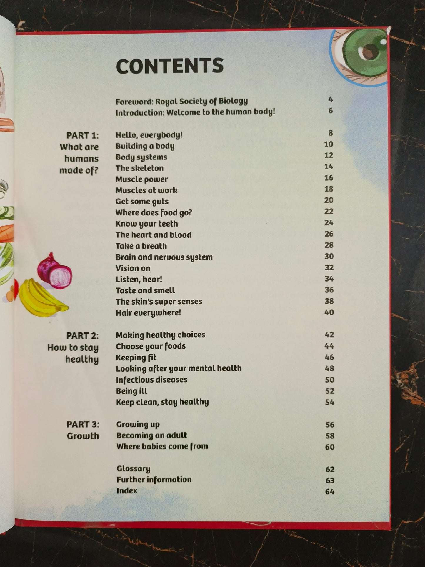 YOUR EXPERT GUIDE THE HUMAN BODY