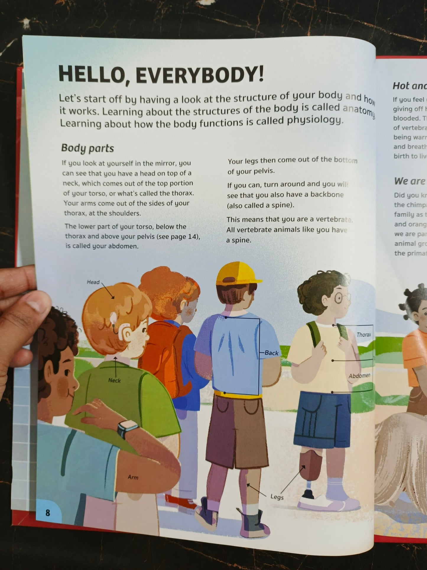 YOUR EXPERT GUIDE THE HUMAN BODY