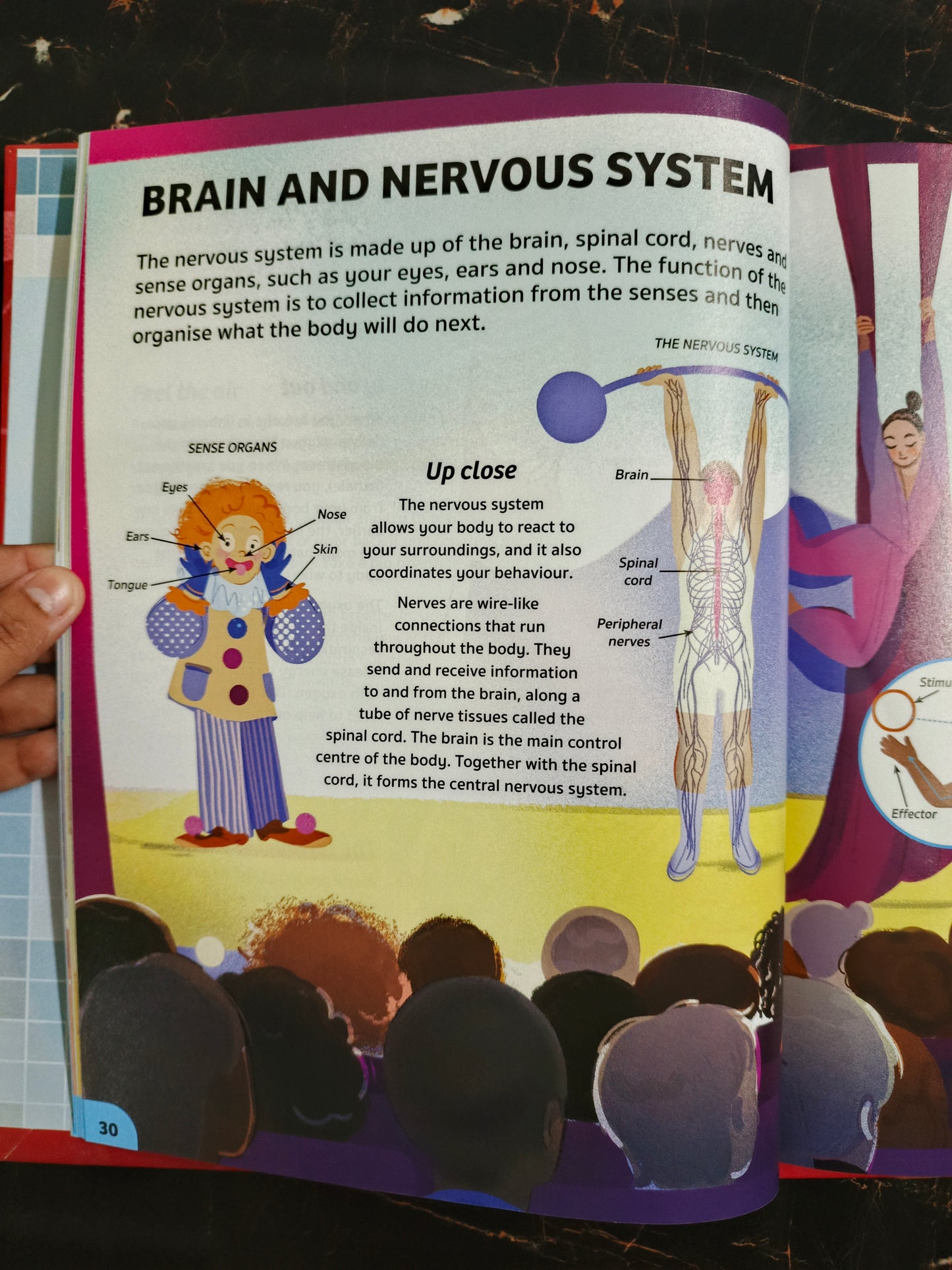 YOUR EXPERT GUIDE THE HUMAN BODY