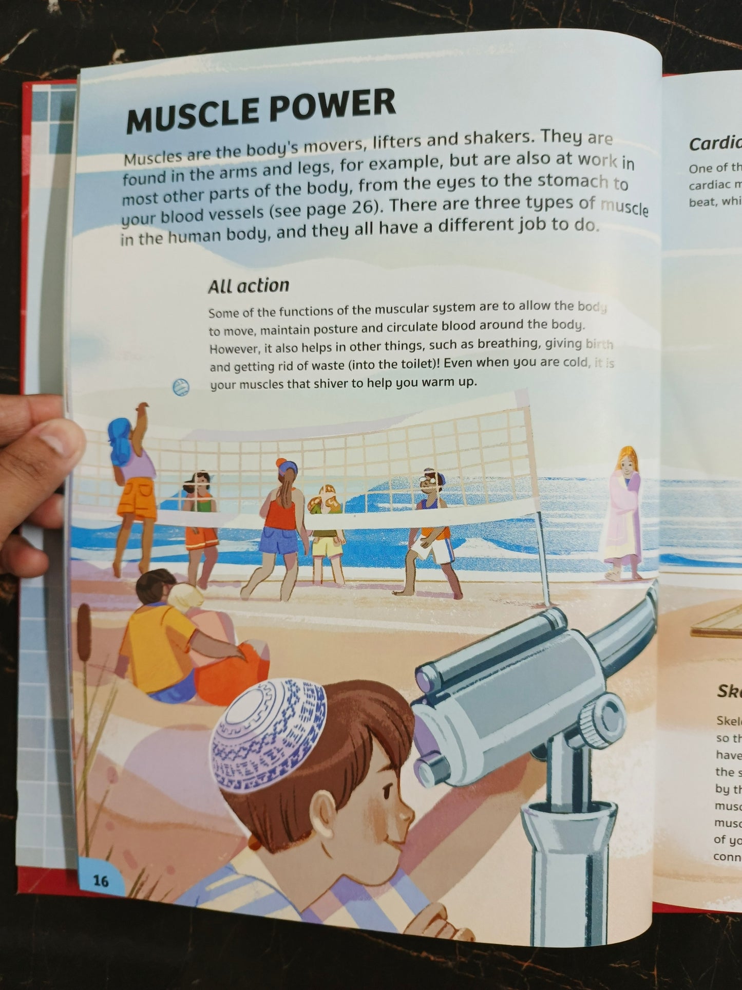 YOUR EXPERT GUIDE THE HUMAN BODY