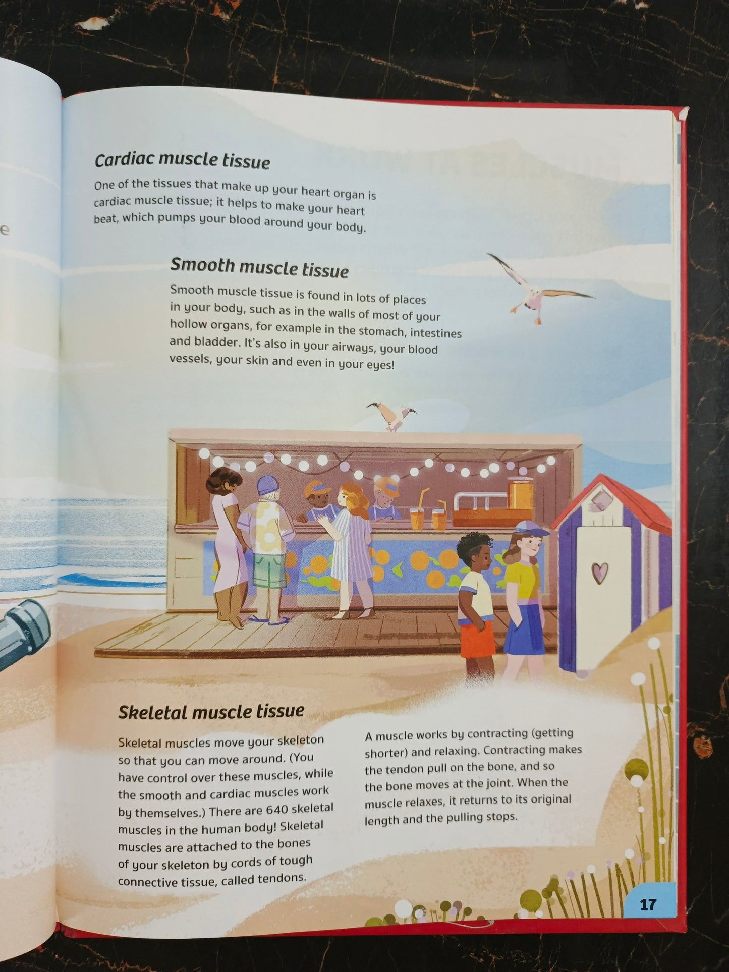 YOUR EXPERT GUIDE THE HUMAN BODY