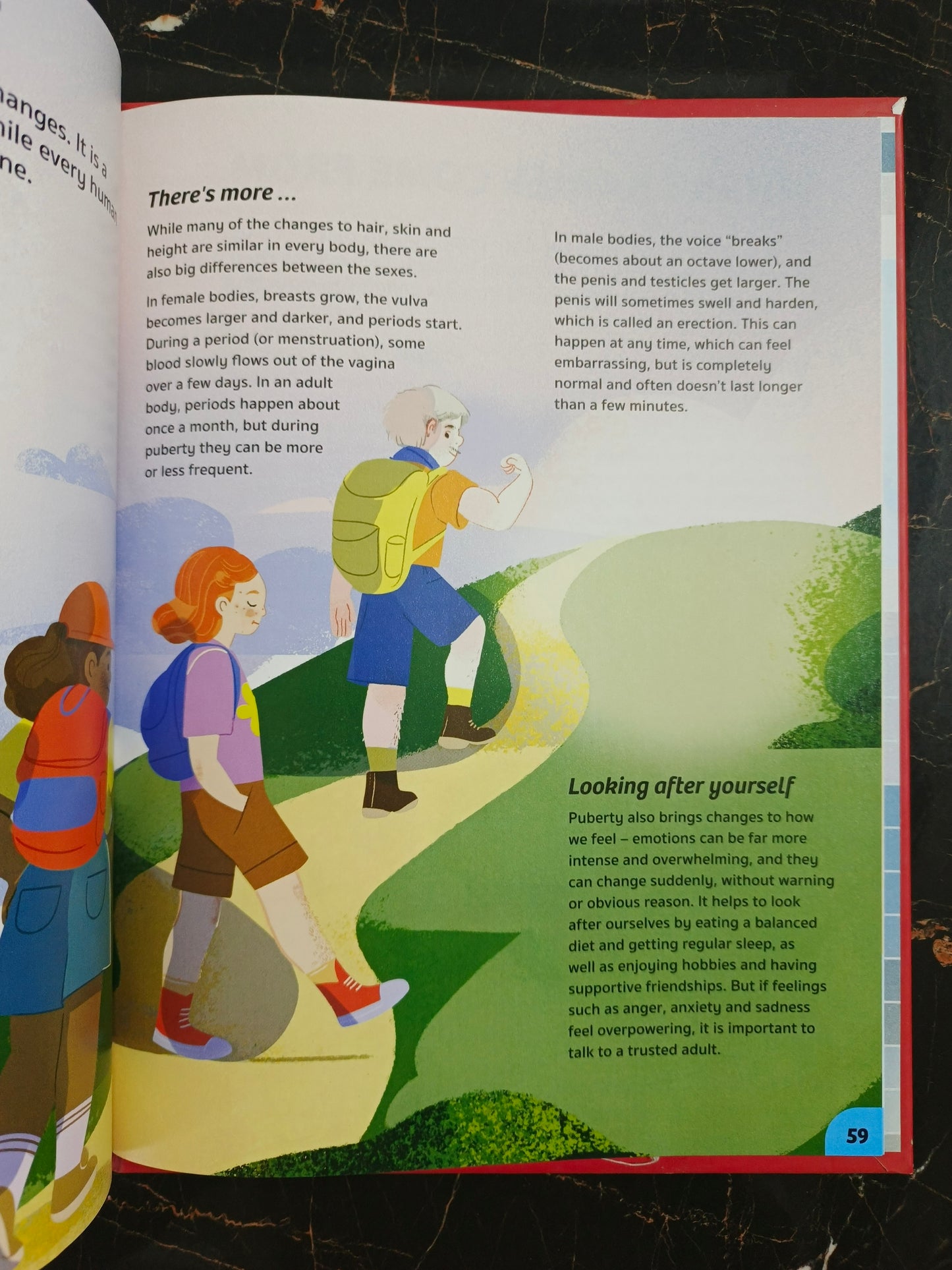 YOUR EXPERT GUIDE THE HUMAN BODY