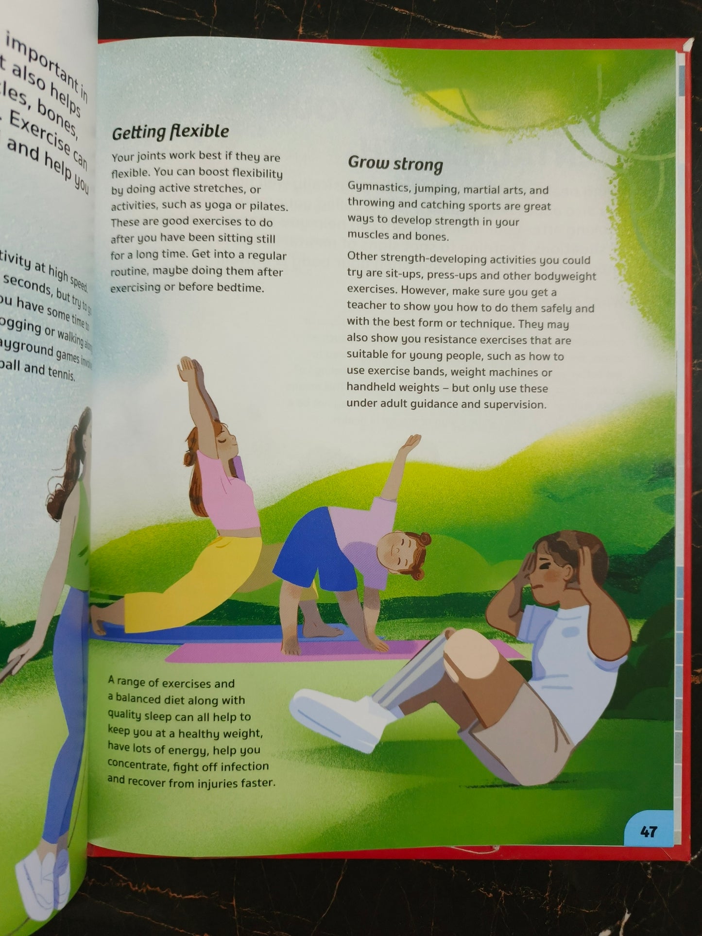 YOUR EXPERT GUIDE THE HUMAN BODY