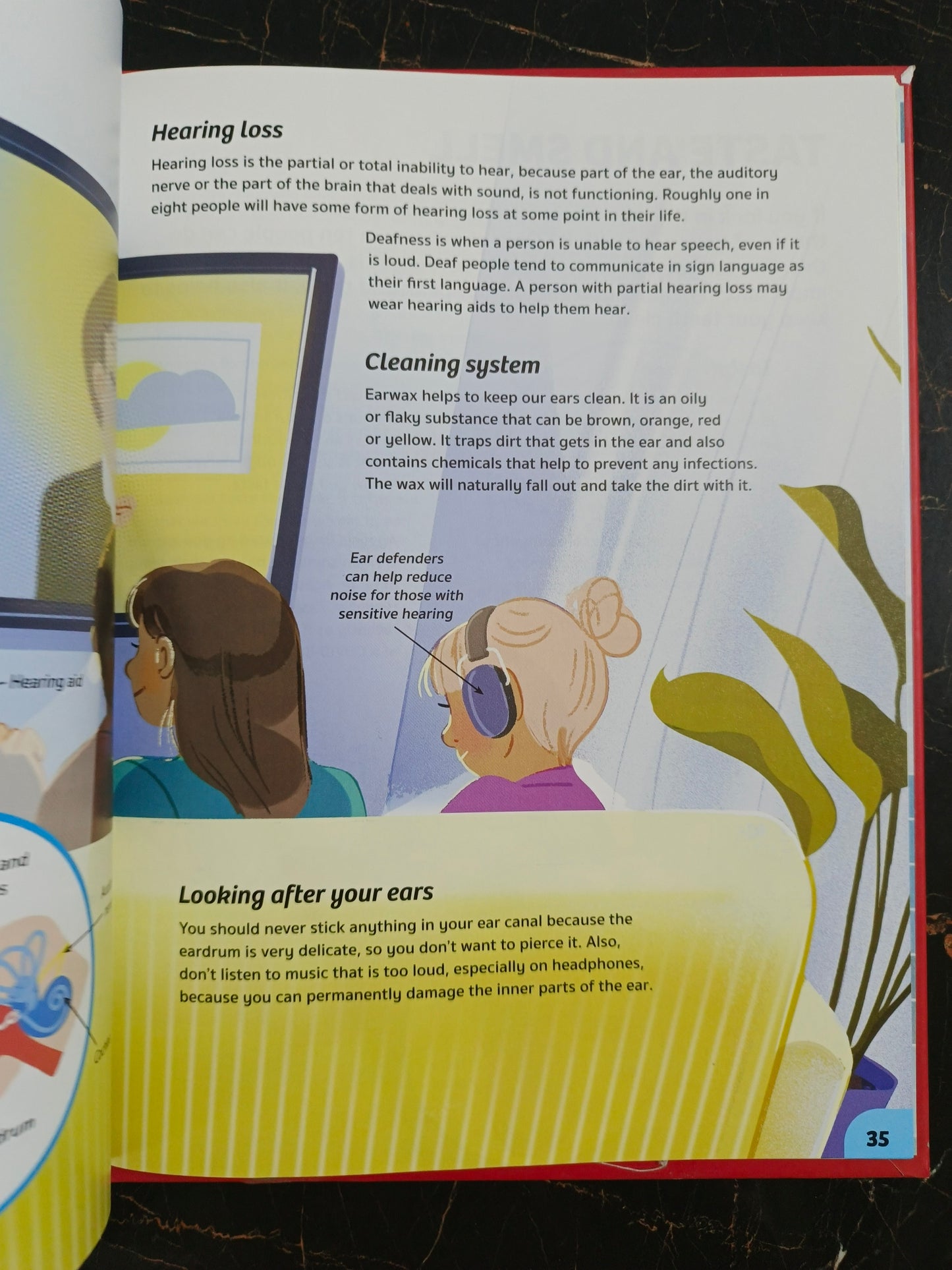 YOUR EXPERT GUIDE THE HUMAN BODY