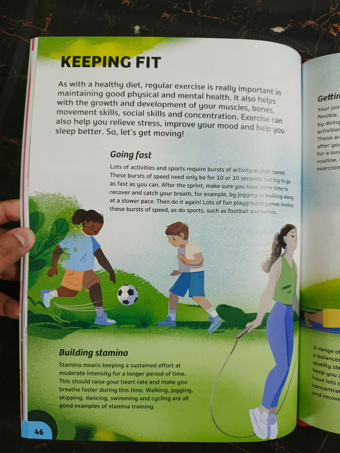 YOUR EXPERT GUIDE THE HUMAN BODY