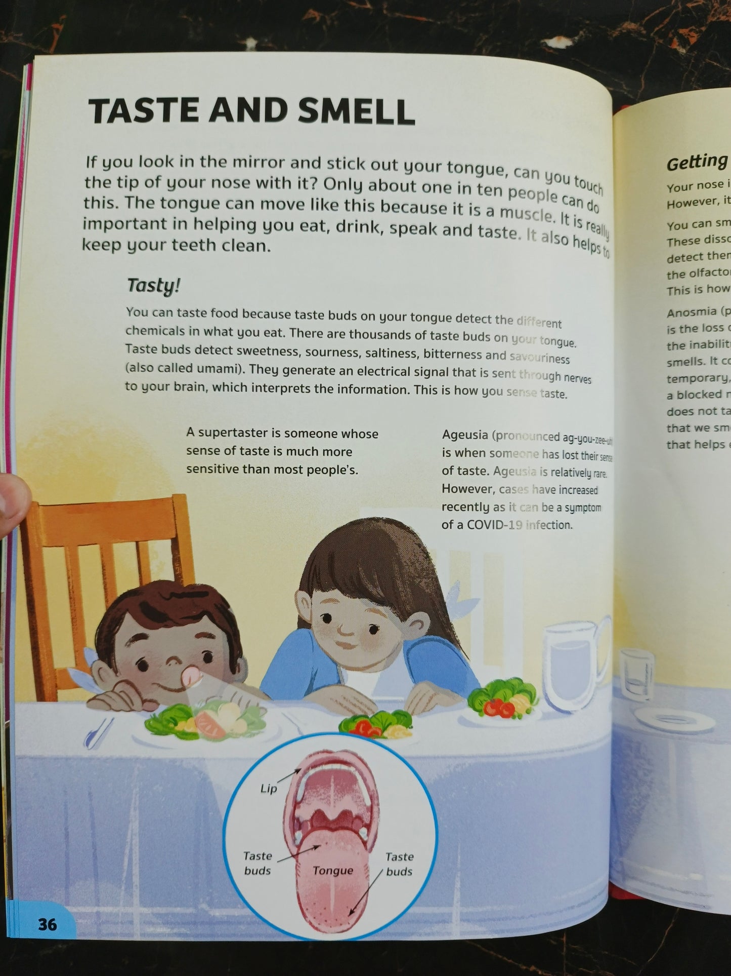 YOUR EXPERT GUIDE THE HUMAN BODY