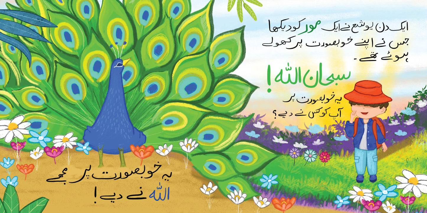 Janwaron ki dunya (flap book)