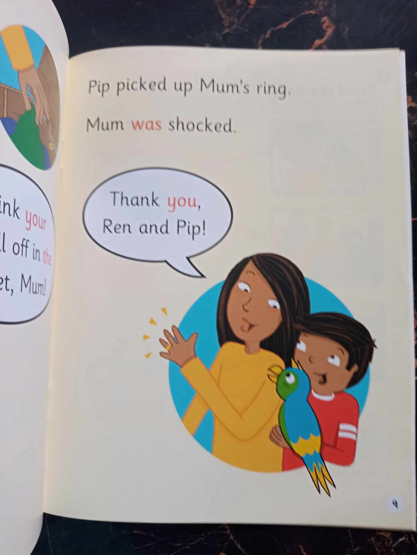 READ WRITE INC.PHONICS (PINK SET) LVL 3