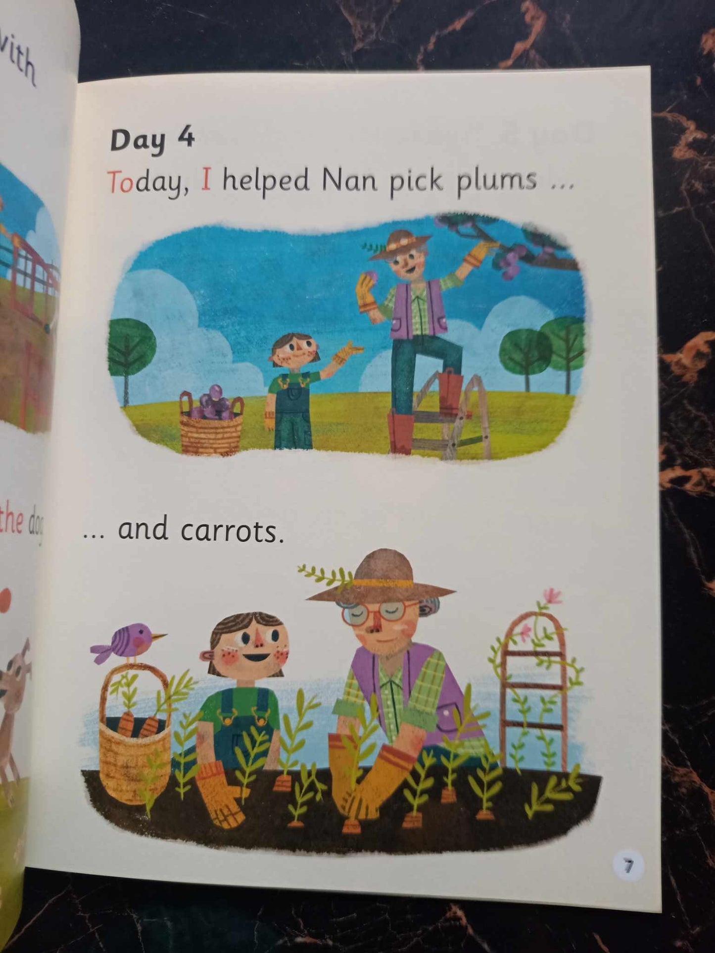 READ WRITE INC.PHONICS (PINK SET) LVL 3