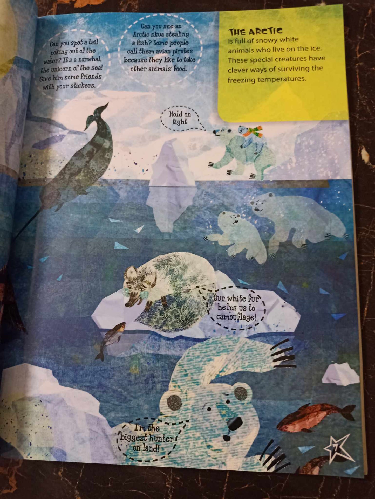 ADVENTURE IN COLD PLACES