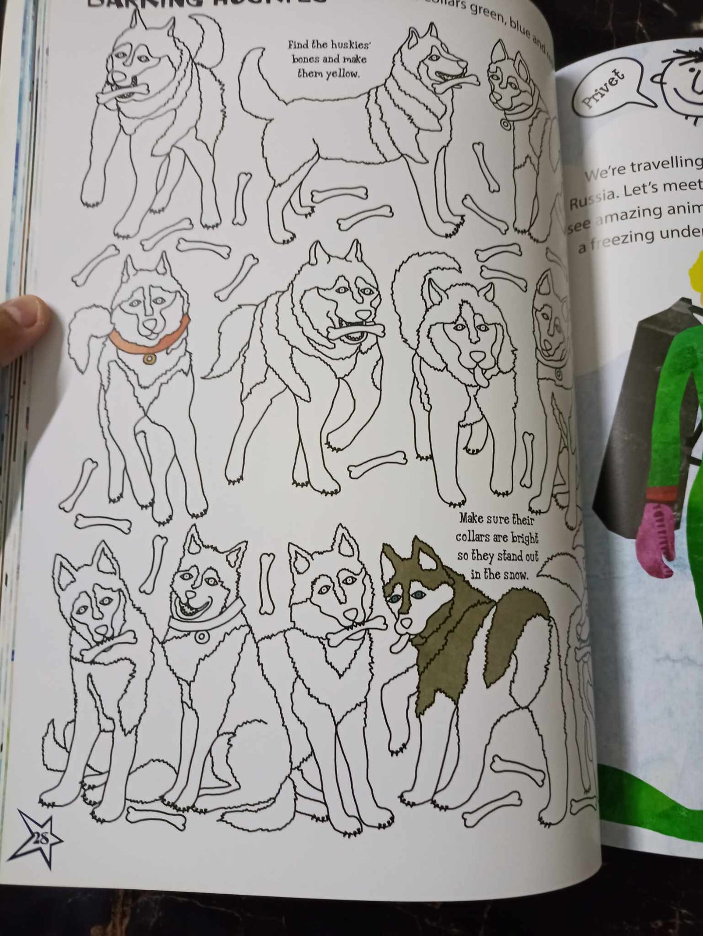 ADVENTURE IN COLD PLACES