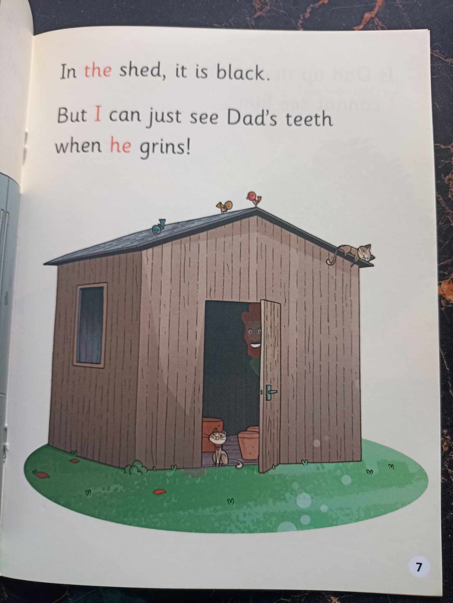 READ WRITE INC.PHONICS (PINK SET) LVL 3