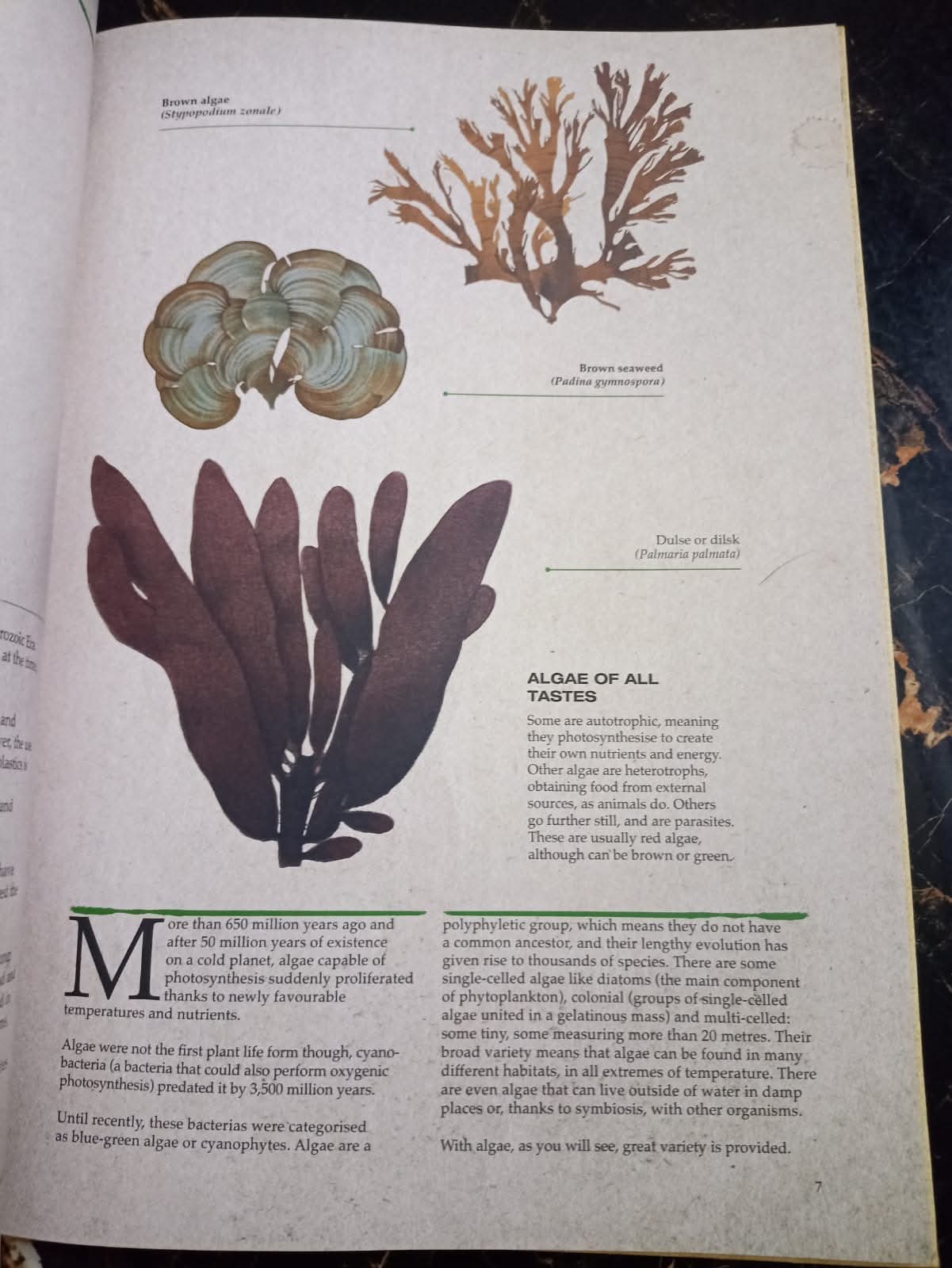 ILLUSTRATED BOTANY (The Visual Plant Museum)