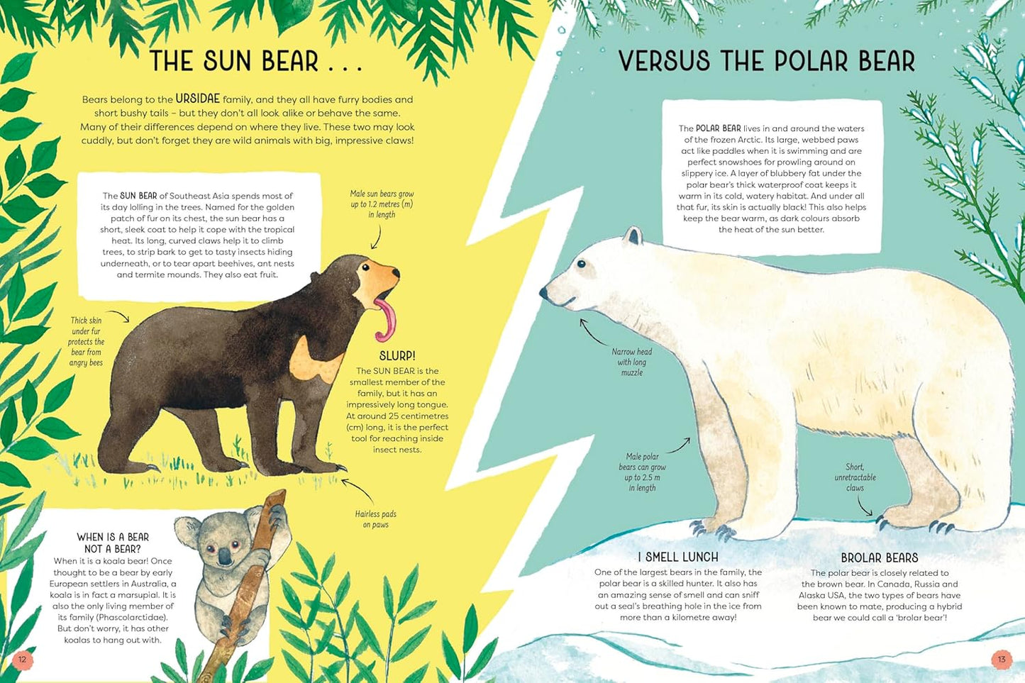 ANIMAL FAMILIES (Wild Cousins Around the world)