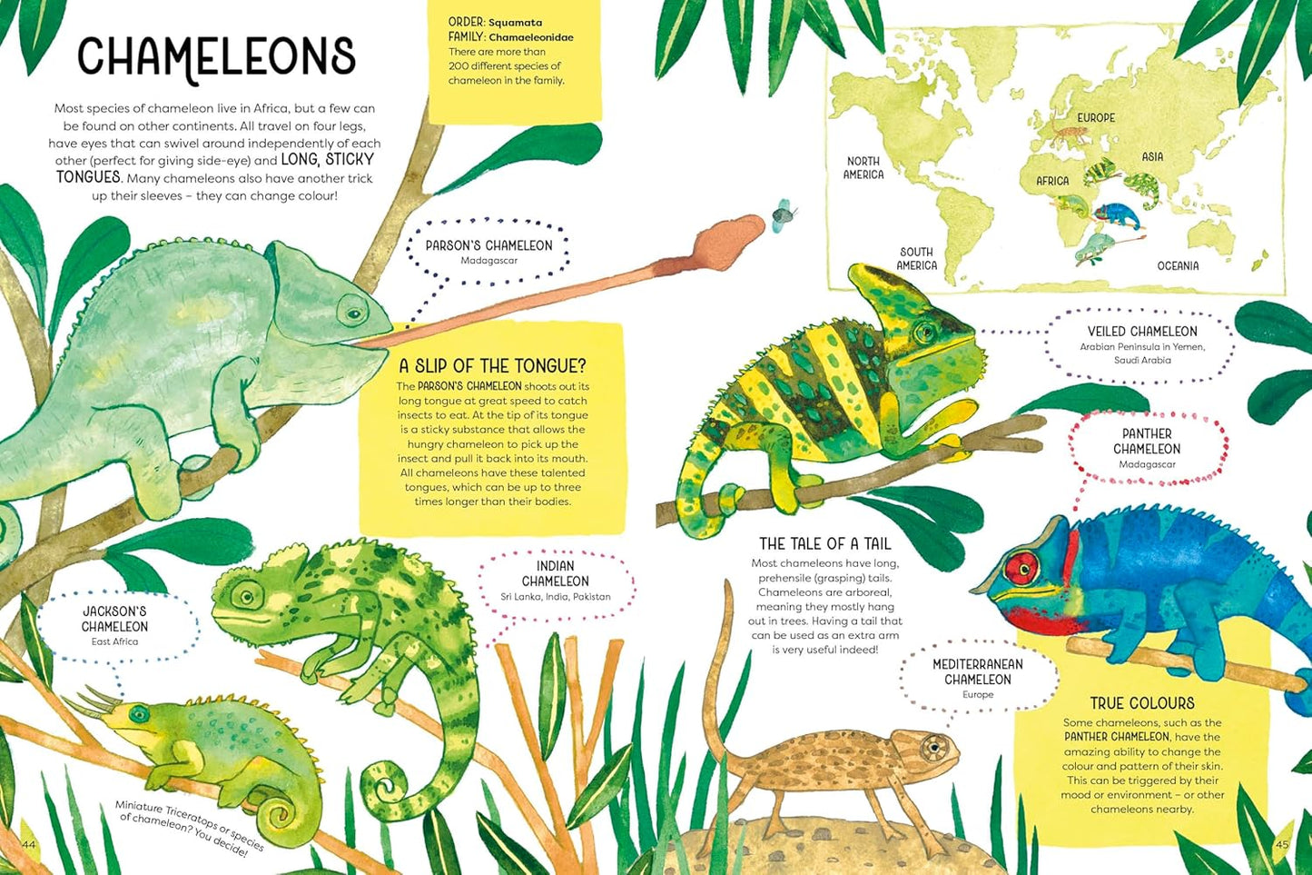 ANIMAL FAMILIES (Wild Cousins Around the world)