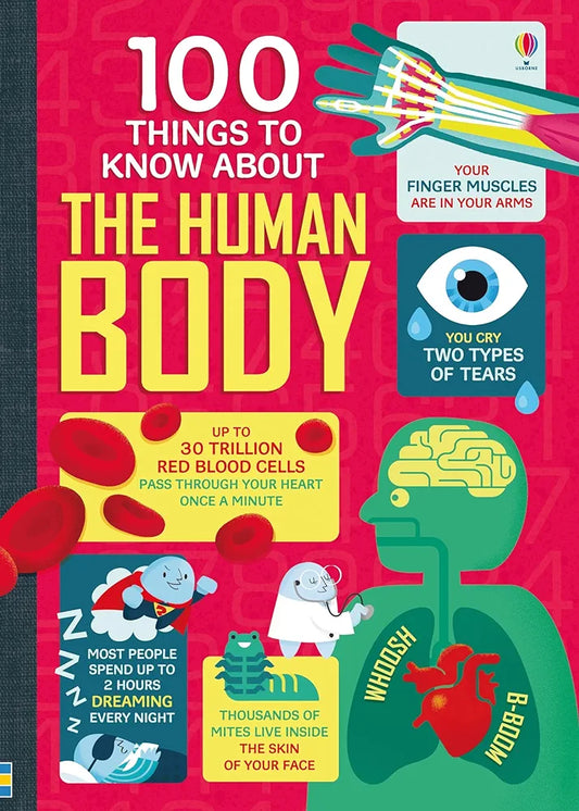 USBORNE 100 THINGS TO KNOW ABOUT HUMAN BODY