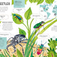 ANIMAL FAMILIES (Wild Cousins Around the world)