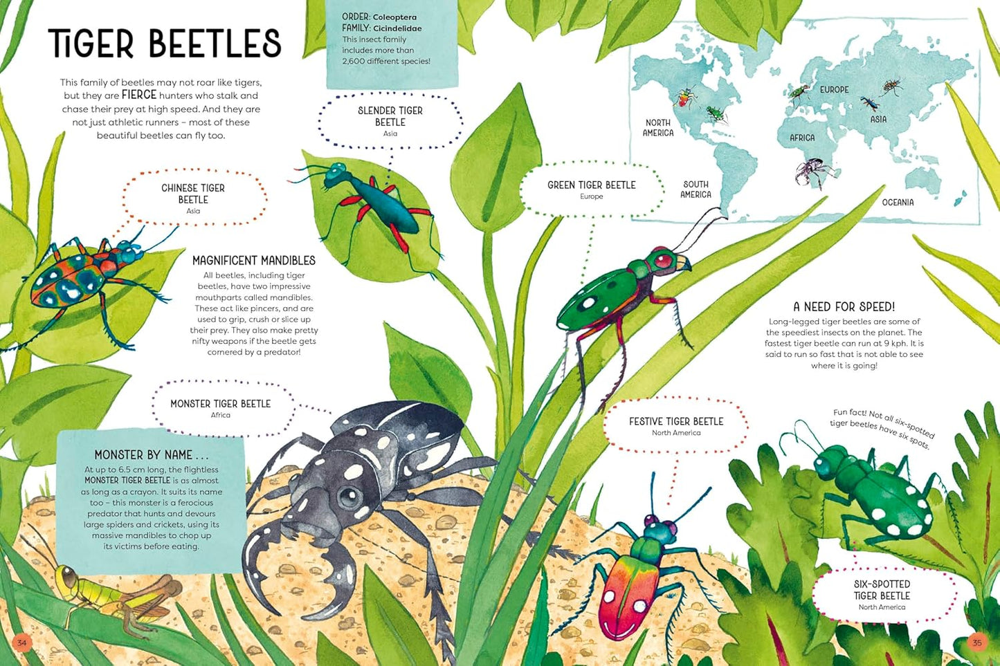 ANIMAL FAMILIES (Wild Cousins Around the world)
