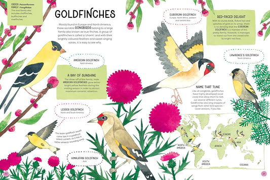 ANIMAL FAMILIES (Wild Cousins Around the world)