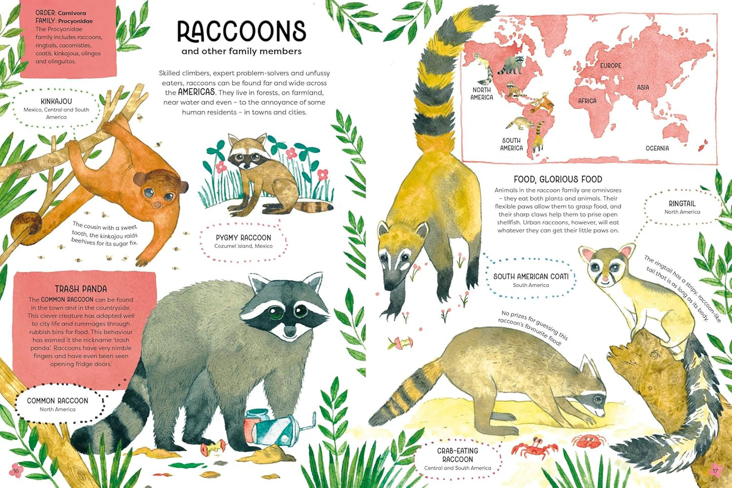 ANIMAL FAMILIES (Wild Cousins Around the world)