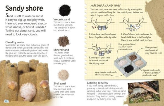 DK SEASHORE(Exploring nature with fun facts and activities)
