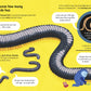 LOT OF THINGS TO KNOW ABOUT BUGS