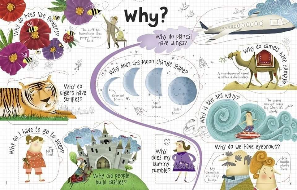 USBORNE LIFT THE FLAP QUESTIONS ANSWERS