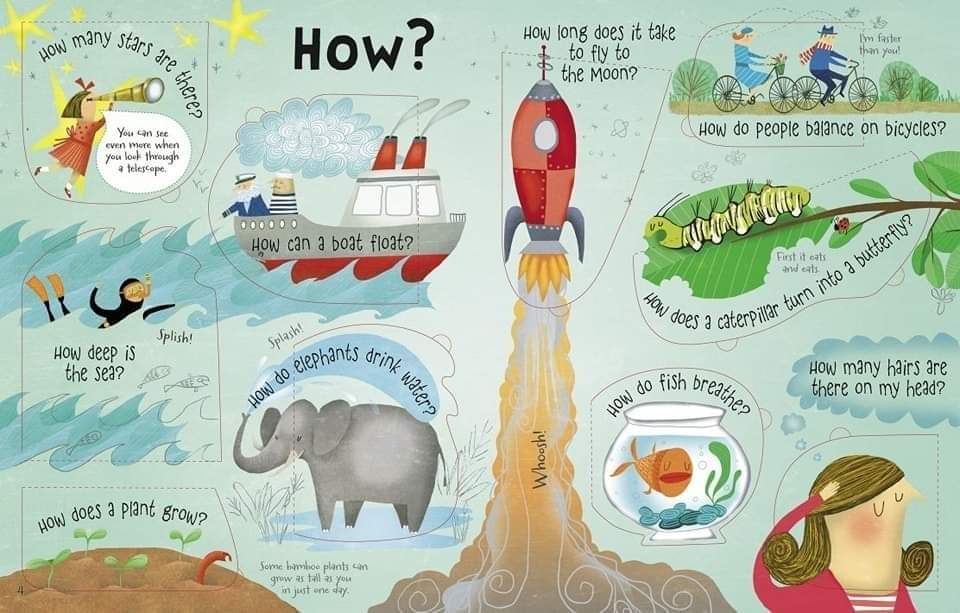 USBORNE LIFT THE FLAP QUESTIONS ANSWERS