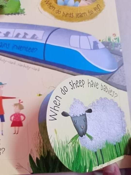 USBORNE LIFT THE FLAP QUESTIONS ANSWERS