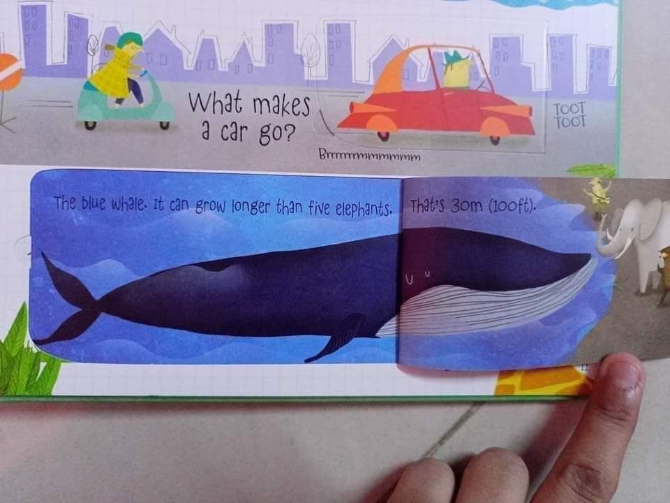 USBORNE LIFT THE FLAP QUESTIONS ANSWERS