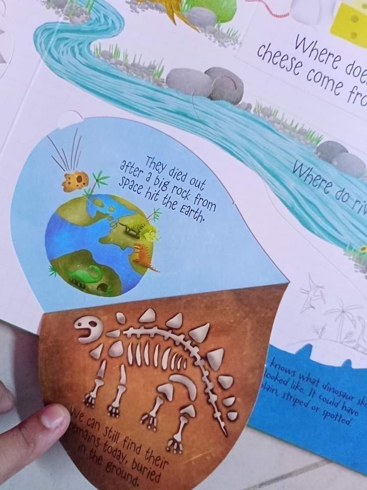 USBORNE LIFT THE FLAP QUESTIONS ANSWERS