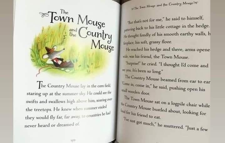 USBORNE ILLUSTRATED STORIES FROM AESOP
