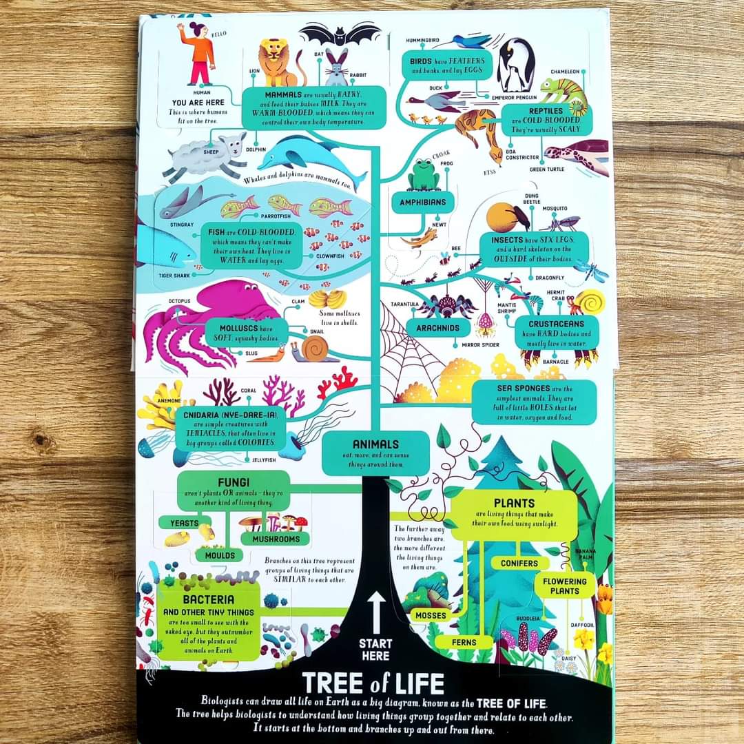 USBORNE LIFT THE FLAP BIOLOGY