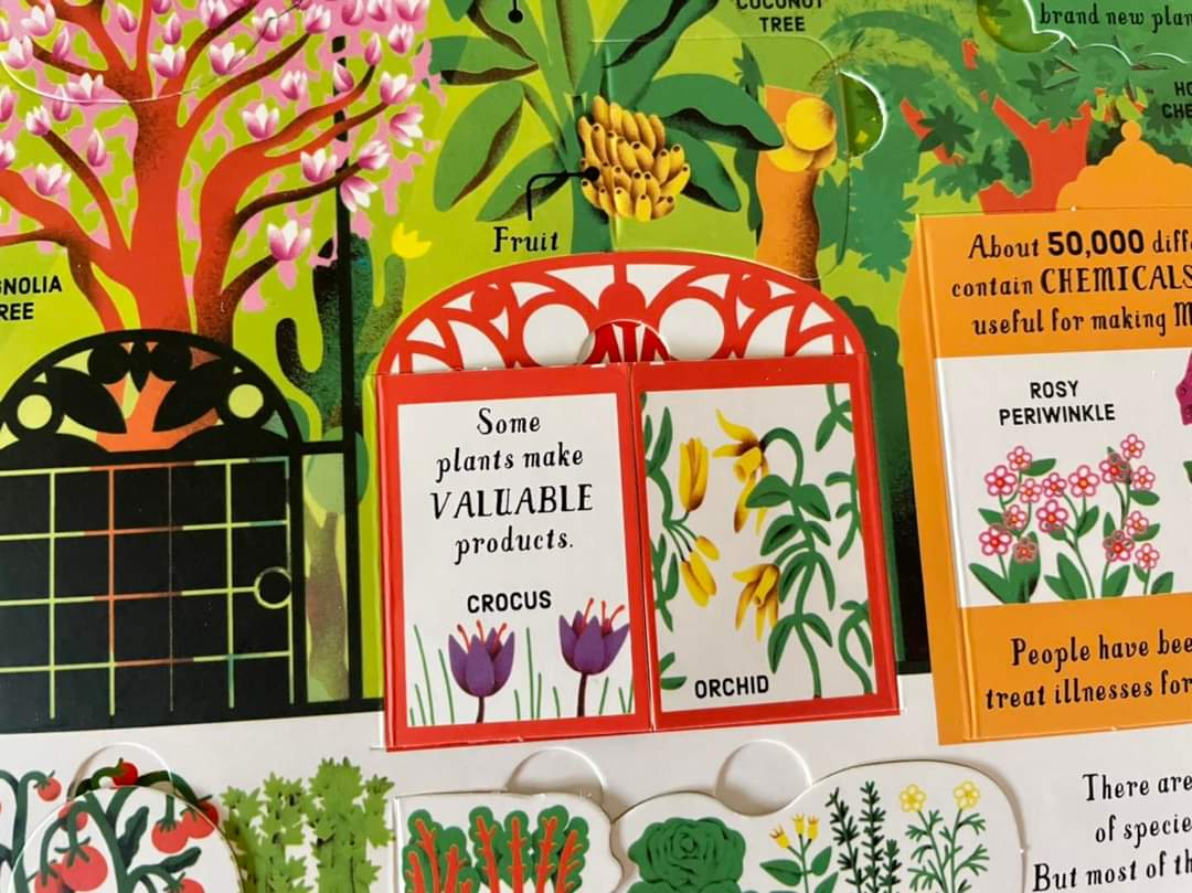 USBORNE LIFT THE FLAP BIOLOGY