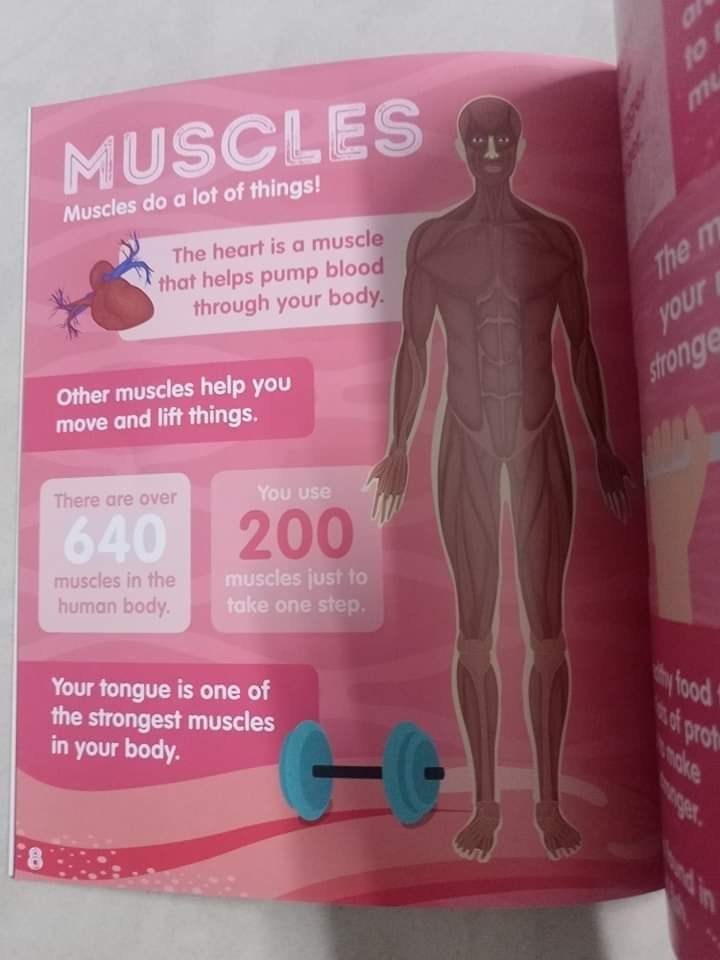 EXTREME FACTS HUMAN BODY