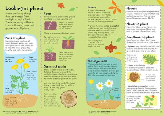 ILLUSTRATED ELEMENTARY SCIENCE DICTIONARY