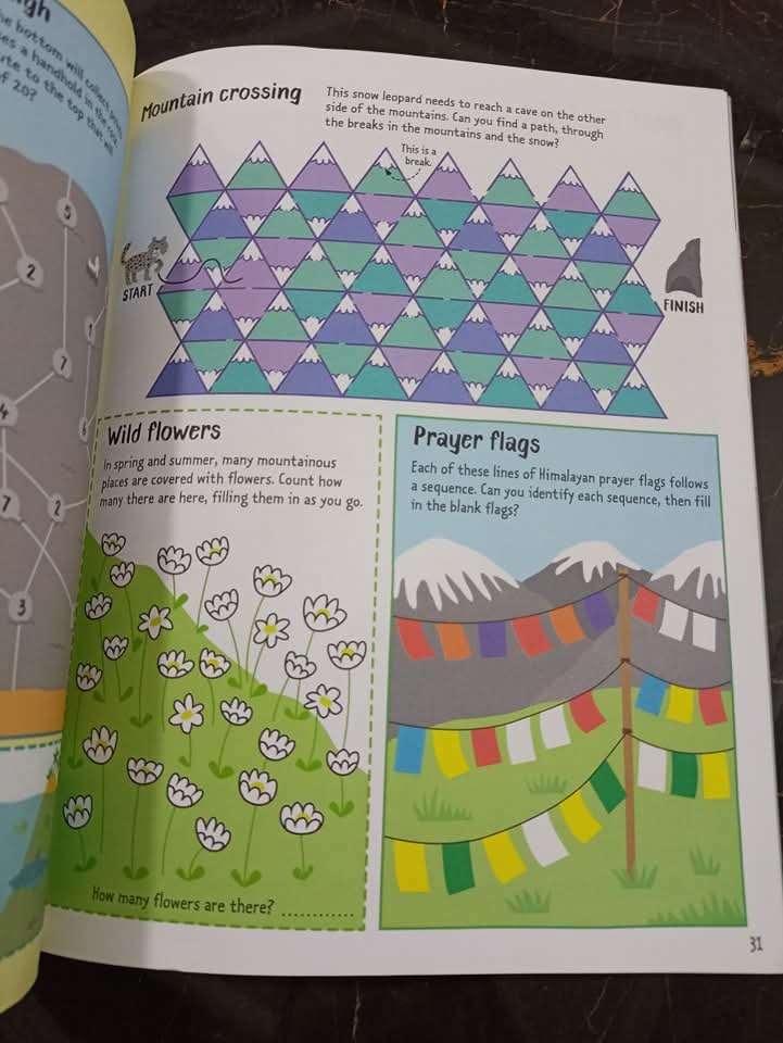 THE TRAVEL ACTIVITY BOOK