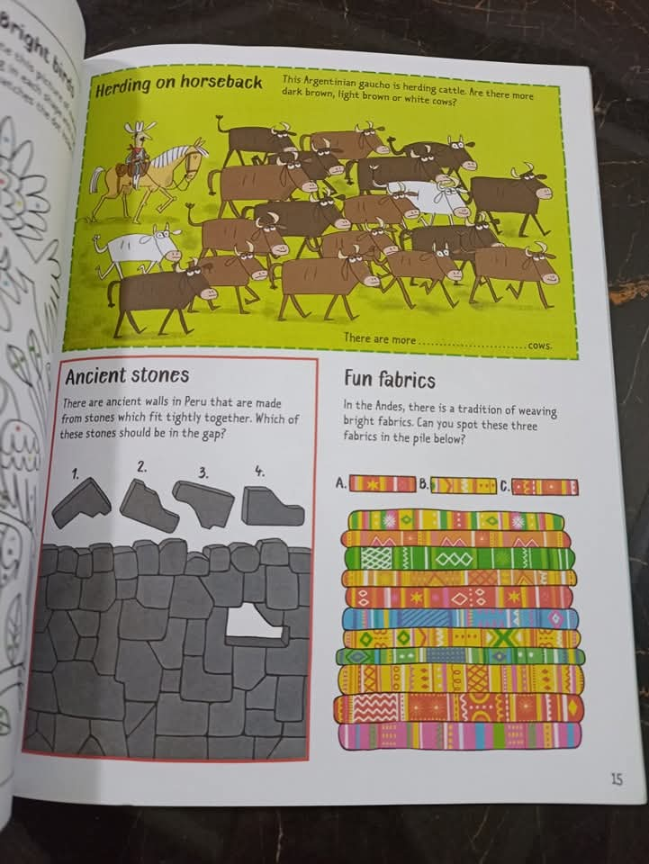 THE TRAVEL ACTIVITY BOOK