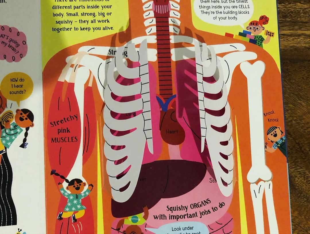 Usborne Step inside Science: Your Body