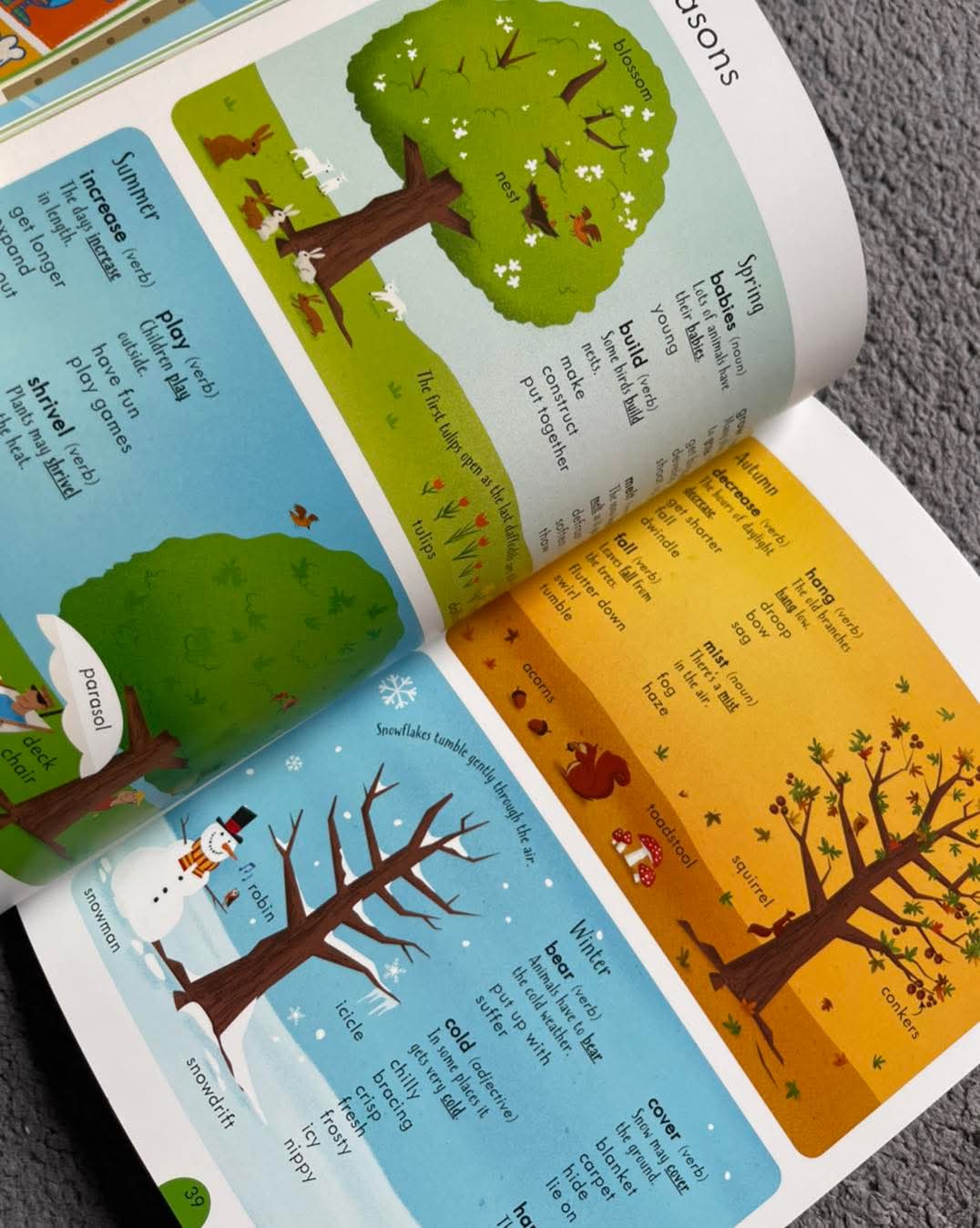 Usborne Junior Illustrated Thesaurus